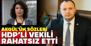 AKGÜL'ÜN SÖZLERİ HDP'Lİ VEKİLİ RAHATSIZ ETTİ
