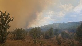 ANKARA’DA BAŞLAYAN YANGIN BOLU’YA SIÇRADI