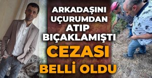 ARKADAŞINI UÇURUMDAN ATIP BIÇAKLAMIŞTI, CEZASI BELLİ OLDU