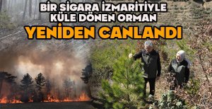 BİR SİGARA İZMARİTİYLE KÜLE DÖNMÜŞTÜ...YENİDEN CANLANDI