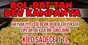 BOLPAT'TAN  DEV KAMPANYA