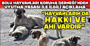 BOLU HAYVANLARI KORUMA DERNEĞİ'NDEN UYUTMA YASASI İLE İLGİLİ AÇIKLAMA “HAYVANLARIN DA  HAKKI VE  AHI VARDIR”  