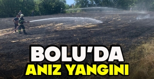 BOLU'DA ANIZ YANGINI