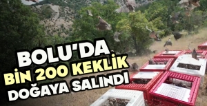 BOLU'DA BİN 200 KEKLİK DOĞAYA SALINDI