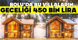 BOLU'DA BU VİLLALARIN GECELİĞİ 450 BİN LİRA