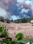 BOLU’DA BÜYÜK  ORMAN YANGINI... DUMANLAR GÖKYÜZÜNÜ  KAPLADI