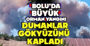 BOLU'DA BÜYÜK  ORMAN YANGINI... DUMANLAR GÖKYÜZÜNÜ  KAPLADI