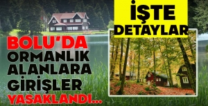 BOLU'DA ORMANLIK ALANLARA GİRİŞLER YASAKLANDI... İŞTE DETAYLAR 