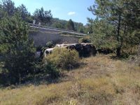 BOLU'DA TIR ŞARAMPOLE YUVARLANDI: 1 YARALI