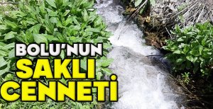 BOLU'NUN SAKLI  CENNETİ