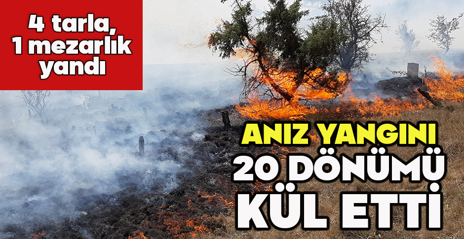 ANIZ YANGINI 20 DÖNÜMÜ KÜL ETTİ... 4 TARLA, 1 MEZARLIK YANDI