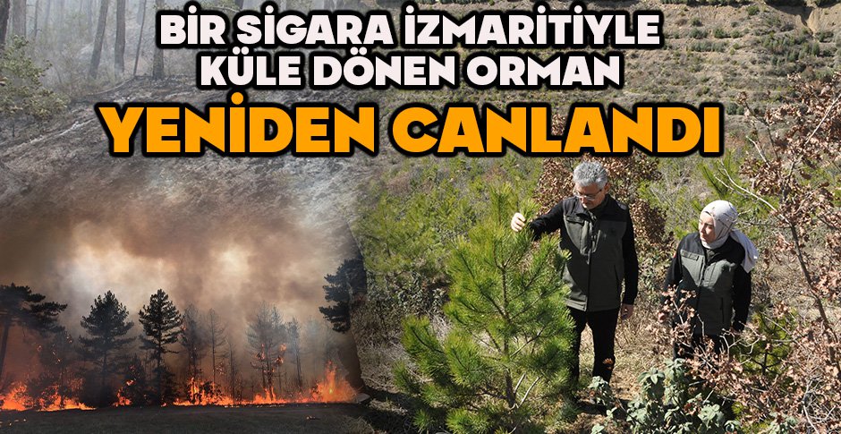 BİR SİGARA İZMARİTİYLE KÜLE DÖNMÜŞTÜ...YENİDEN CANLANDI