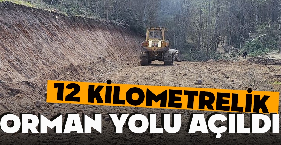 BOLU'DA 12 KİLOMETRELİK ORMAN YOLU AÇILDI