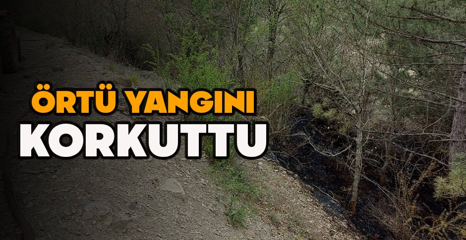 BOLU'DA ORMANLIK ALANDA ÇIKAN ÖRTÜ YANGINI KORKUTTU