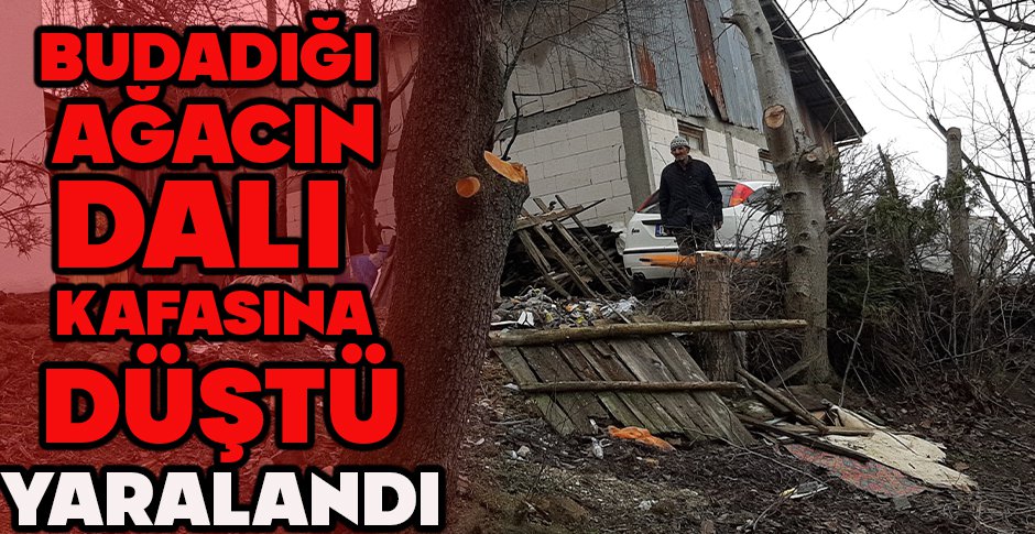 BUDADIĞI AĞACIN DALI KAFASINA DÜŞTÜ...YARALANDI