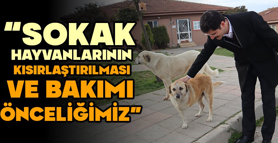 DEMİRKOL 