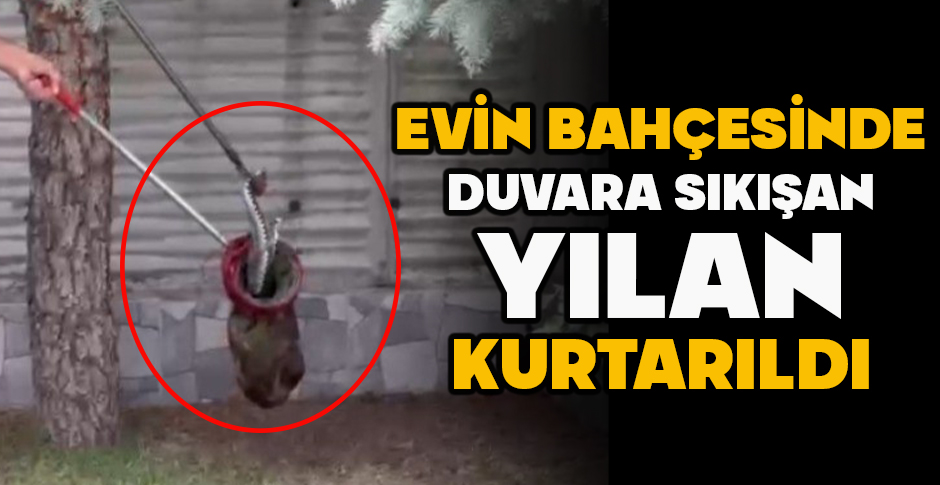 EVİN BAHÇESİNDE DUVARA SIKIŞAN YILAN KURTARILDI
