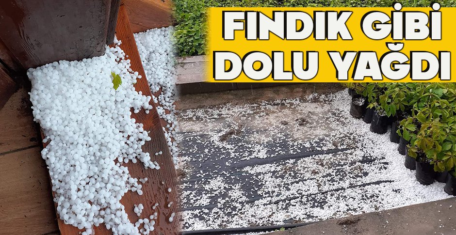 FINDIK GİBİ DOLU YAĞDI