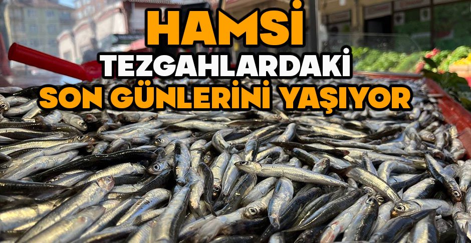 HAMSİ TEZGAHLARDAKİ SON GÜNLERİNİ YAŞIYOR