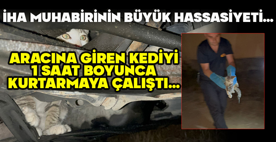 İHA MUHABİRİNİN BÜYÜK HASSASİYETİ... ARACINA GİREN KEDİYİ 1 SAAT BOYUNCA KURTARMAYA ÇALIŞTI...