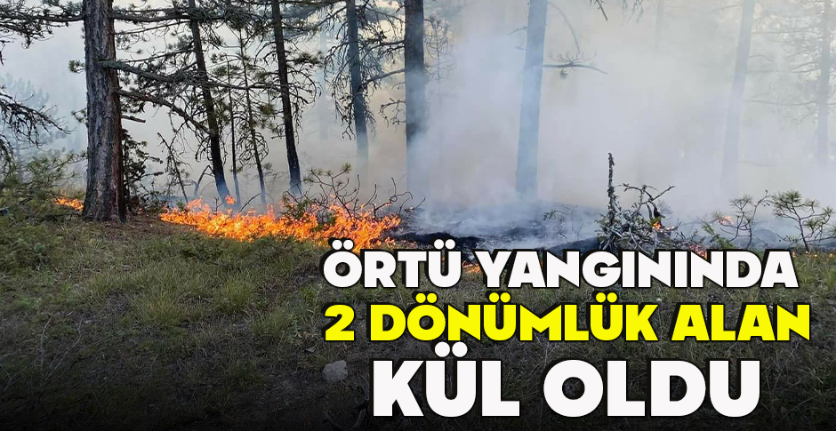 ÖRTÜ YANGININDA  2 DÖNÜMLÜK ALAN KÜL OLDU