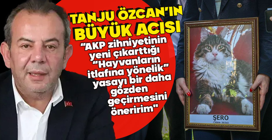 TANJU ÖZCAN'IN BÜYÜK ACISI