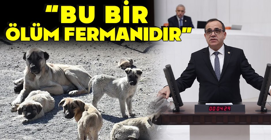 TÜRKER ATEŞ 