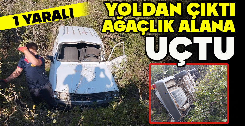 YOLDAN ÇIKAN ARAÇ AĞAÇLIK ALANA UÇTU: 1 YARALI