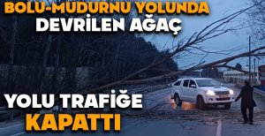 DEVRİLEN AĞAÇ YOLU TRAFİĞE KAPATTI 
