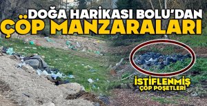DOĞA HARİKASI BOLU'DAN ÇÖP MANZARALARI 