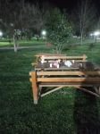 HAYVAN BİLE PİSLEDİĞİ YERİ TEMİZLİYOR