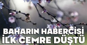 İLK CEMRE DÜŞTÜ