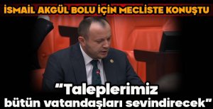 İSMAİL AKGÜL BOLU İÇİN MECLİSTE KONUŞTU "TALEPLERİMİZ BÜTÜN VATANDAŞLARIMIZI SEVİNDİRECEK"