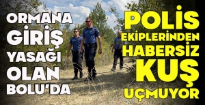 ORMANA GİRİŞ YASAĞI OLAN BOLU'DA POLİS EKİPLERİNDEN HABERSİZ KUŞ UÇMUYOR