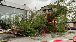 OTOBÜS DURAĞINA AĞAÇ DEVRİLDİ...DURAKTA KİMSENİN OLMAMASI FACİAYI ÖNLEDİ