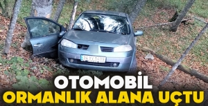 OTOMOBİL ORMANLIK ALANA UÇTU