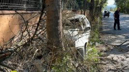 OTOMOBİLİN ÇARPTIĞI AĞAÇ ÜZERİNE DEVRİLDİ, YANGIN ÇIKTI: 1 YARALI