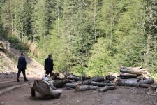 ÖZCAN’DAN ÖZLÜ’YE ALTERNATİF ABANT YOLU TEPKİSİ 