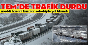 TEM'DE TRAFİK DURDU