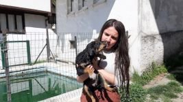 YAVRU KÖPEK AZ KALSIN HAVUZDA BOĞULUYORDU