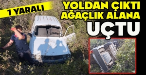 YOLDAN ÇIKAN ARAÇ AĞAÇLIK ALANA UÇTU: 1 YARALI