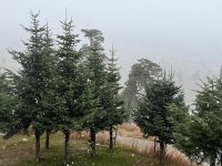 BOLU'YA MEVSİMİN İLK KARI YAĞDI...