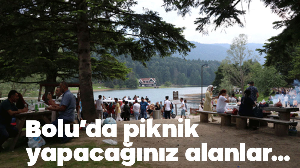 BOLU'DA PİKNİK YAPABİLECEĞİNİZ ALANLAR BELİRLENDİ