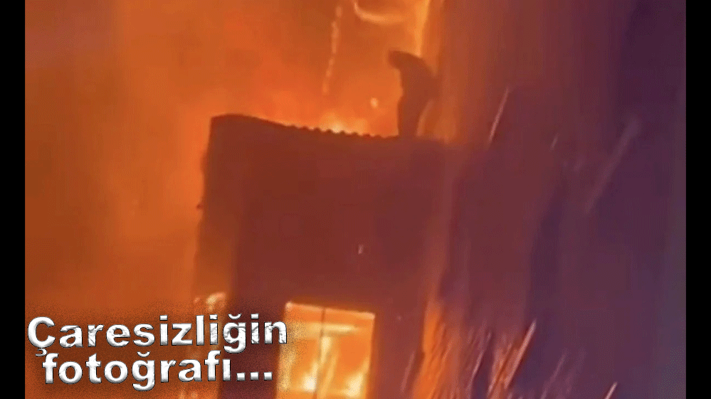ÇARESİZLİĞİN FOTOĞRAFI....