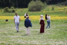 BOLU'DA BAYRAMDA ABANT'A AKIN! TATİLCİLER GÖL KENARINI DOLDURDU