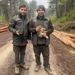 BOLU'DA TOMRUKLARIN ARASINA SIKIŞAN YAVRU TAVŞANI ORMANCILAR KURTARDI