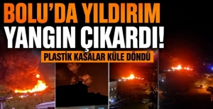 BOLU'DA YILDIRIM YANGIN ÇIKARDI! PLASTİK KASALAR KÜLE DÖNDÜ