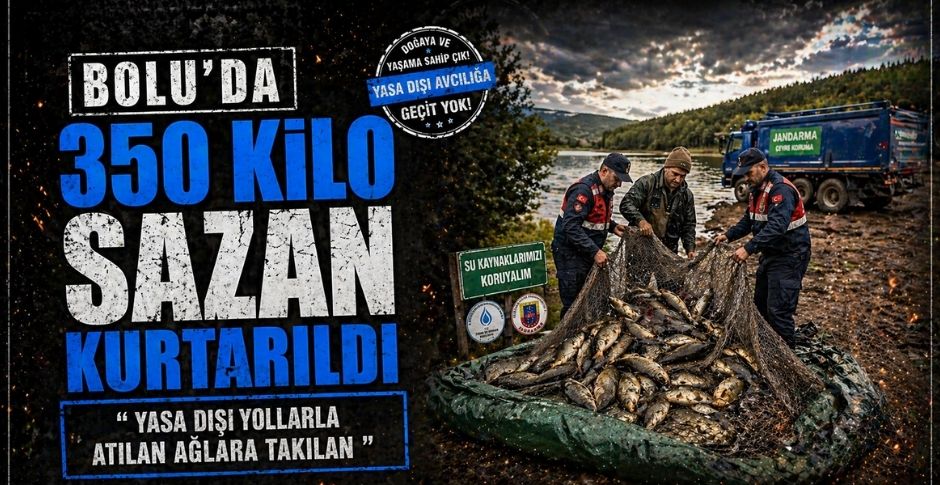 BOLU’DA 350 KİLO SAZAN KURTARILDI