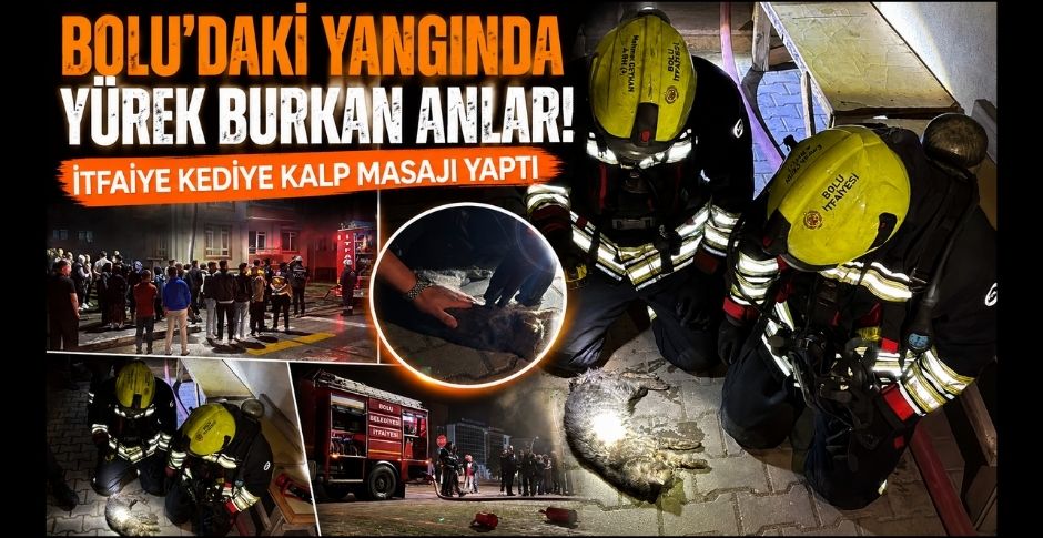BOLU'DAKİ YANGINDA YÜREK BURKAN ANLAR! İTFAİYE KEDİYE KALP MASAJI YAPTI