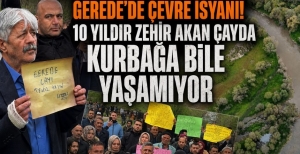 GEREDE'DE ÇEVRE İSYANI! 10 YILDIR ZEHİR AKAN ÇAYDA KURBAĞA BİLE YAŞAMIYOR